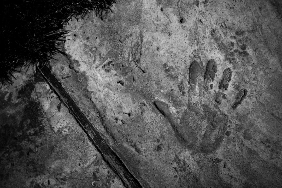 Handprint imprinted on a textured rock surface