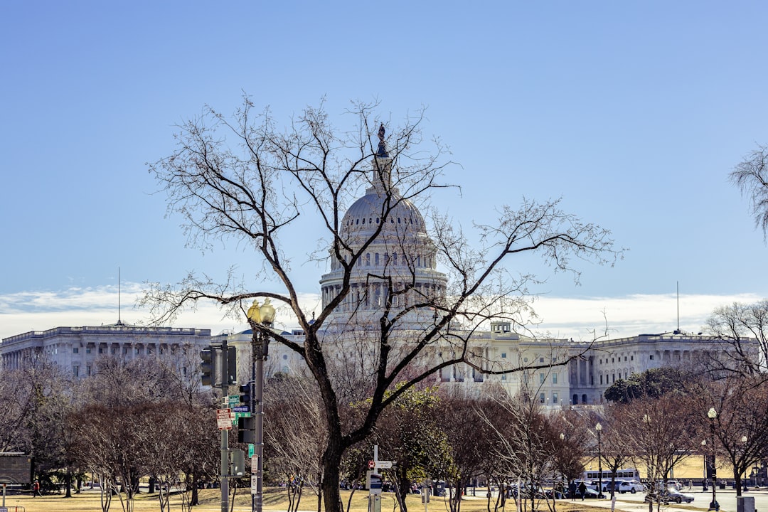 United states capitol building with bare trees in foreground