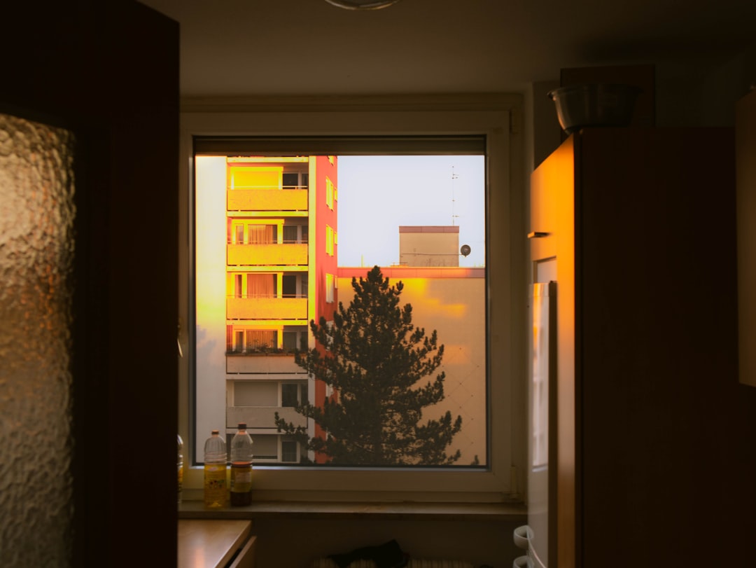 a view of a building through a window